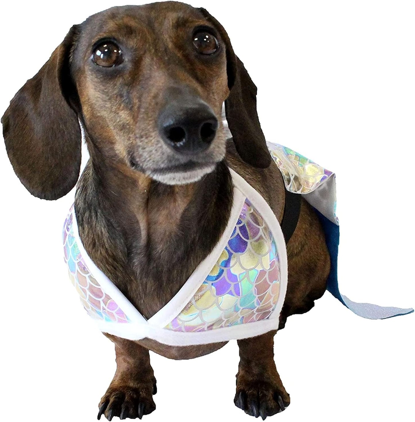 Mermaid Dog Halloween Costume (Large)