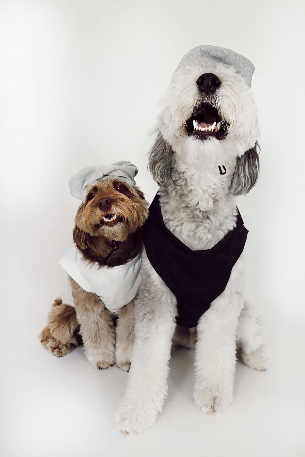 Salt & Pepper Dog Costume (Salt, Small)