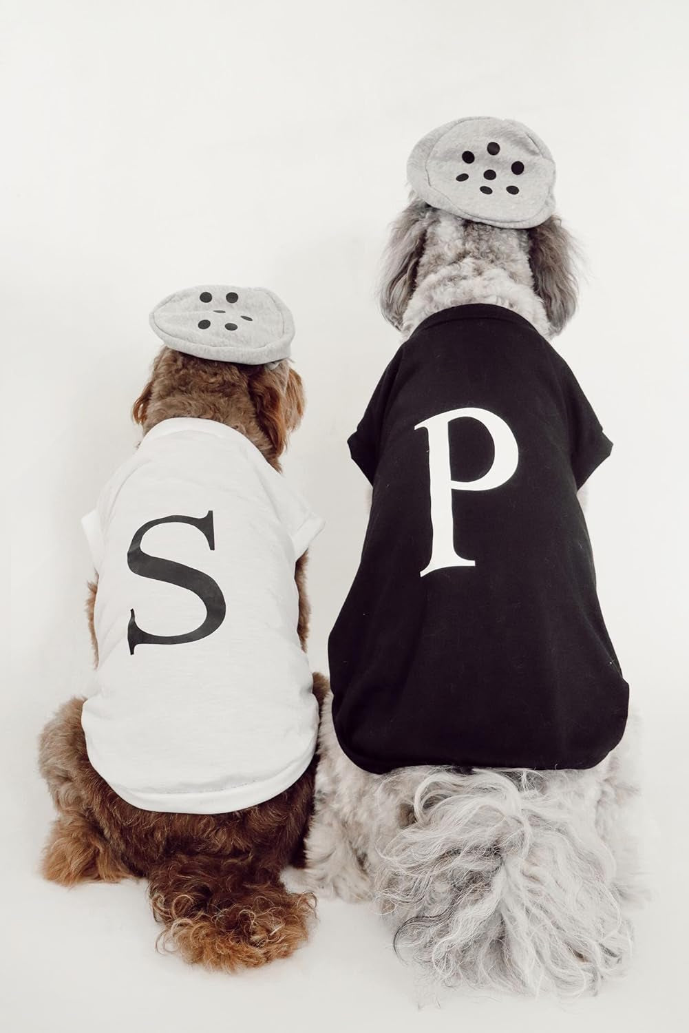 Salt & Pepper Dog Costume (Salt, Small)