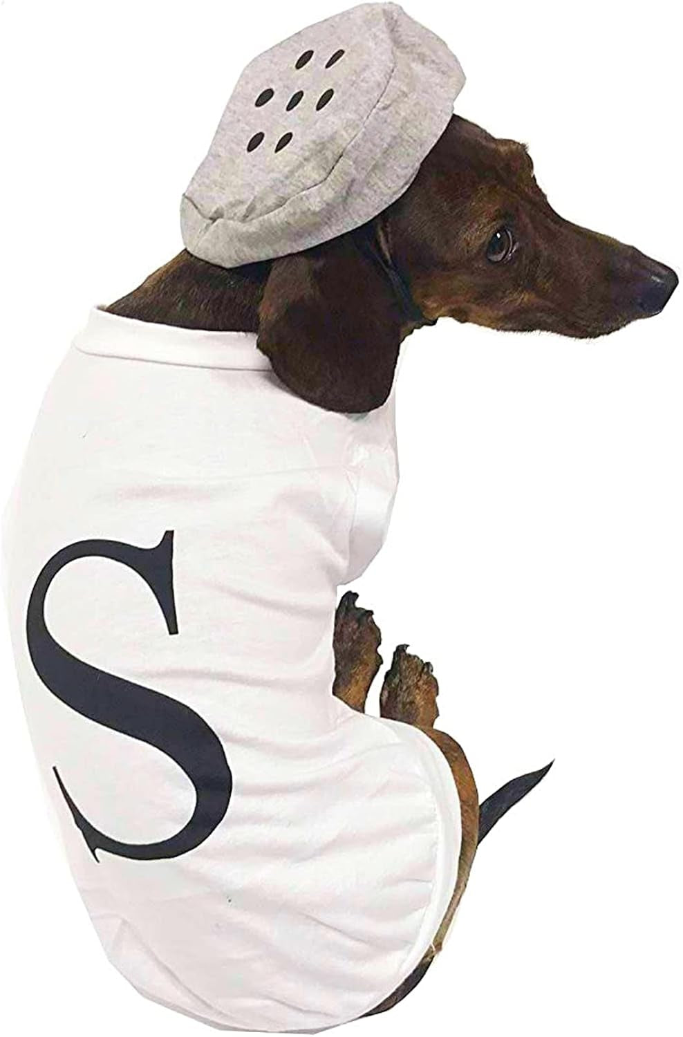 Salt & Pepper Dog Costume (Salt, Small)