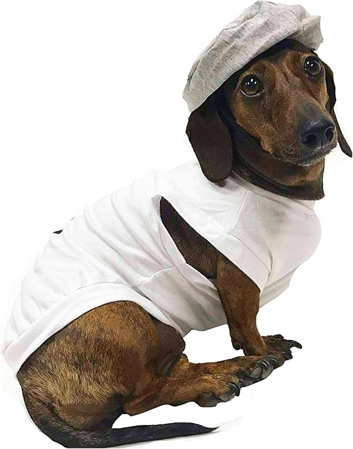 Salt & Pepper Dog Costume (Salt, Small)
