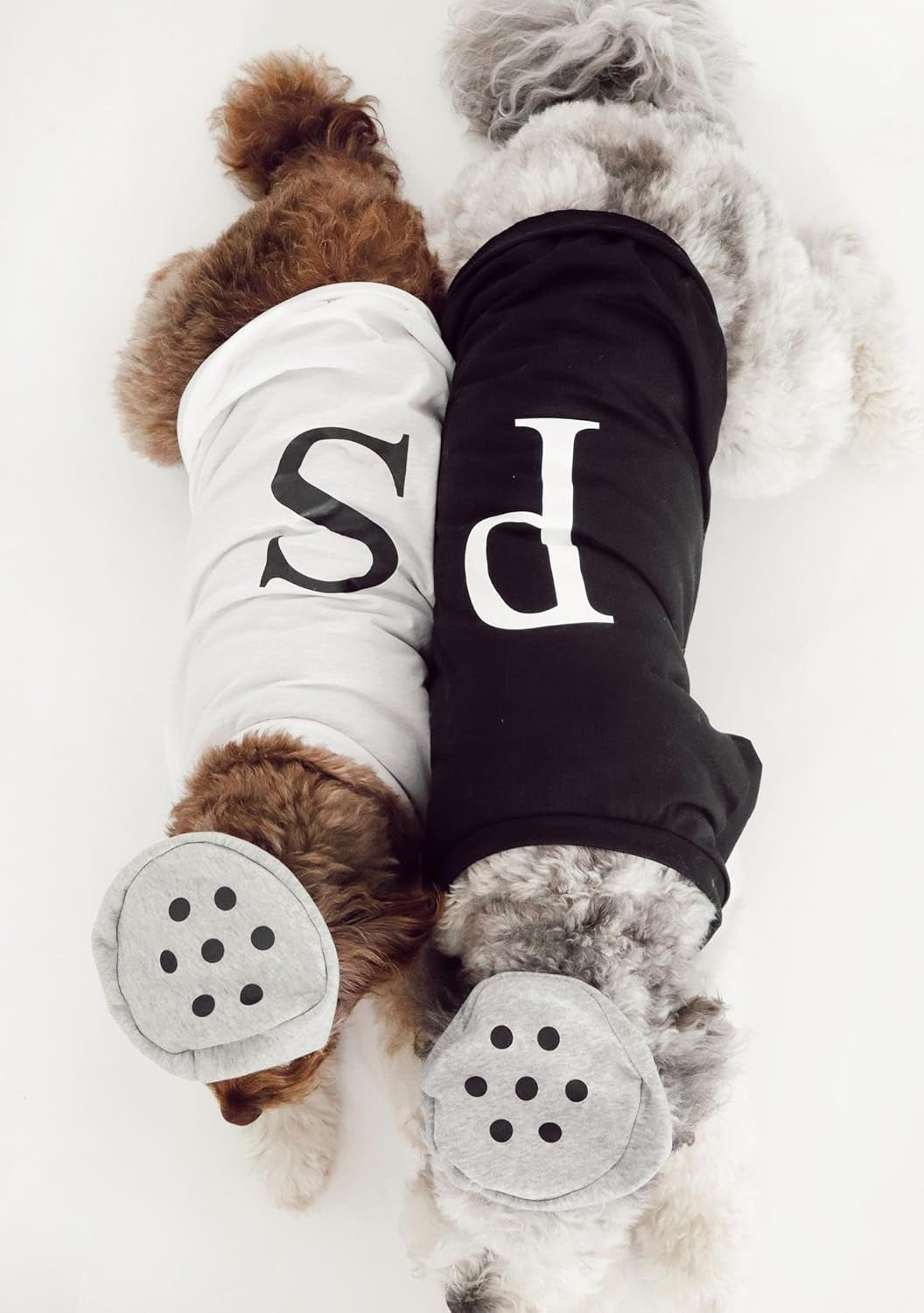 Salt & Pepper Dog Costume (Salt, Small)
